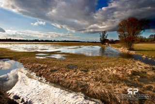 109 Třeboňská krajina - louky